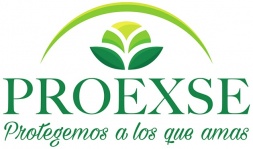 gallery/proexse logo peq final (1)