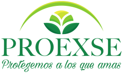 gallery/proexse logo silueta final - copia